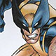 Muurschildering kinderkamer Wolverine